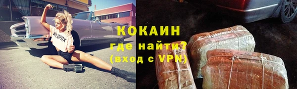 мяу мяу мука Аркадак