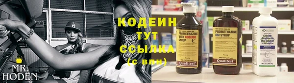мяу мяу мука Аркадак