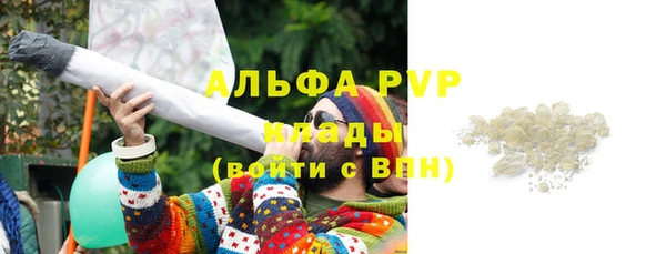 дмт Арсеньев