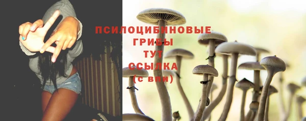 дмт Арсеньев