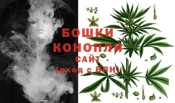 дмт Арсеньев